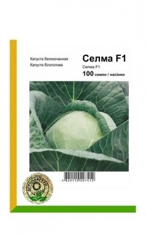 Капуста білокачанна Селма F1 - 100 насінин А (Rijk Zwaan) Капуста білокачанна Селма F1 - 100 насінин А (Rijk Zwaan)