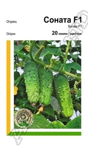 Огірок Соната F1 - 20 насінин А (Rijk Zwaan) Огірок Соната F1 - 20 насінин А (Rijk Zwaan)