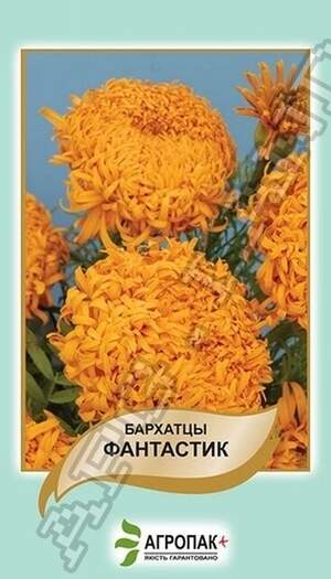 Чорнобривці прямостоячі Фантастик оранжеві - 0,2 грама А Чорнобривці прямостоячі Фантастик оранжеві - 0,2 грама А