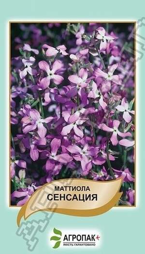 Маттіола дворога Сенсація - 0,5 грам Маттіола дворога Сенсація - 0,5 грам