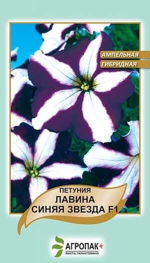 Петунія ампельна великоквіткова Лавина, Синя зірка F1 - 20 насінин, А Петунія ампельна великоквіткова Лавина, Синя зірка F1 - 20 насінин, А