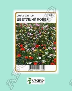 Насіння квіткових сумішей Квітучий килим - 20 грам А Насіння квіткових сумішей Квітучий килим - 20 грам А