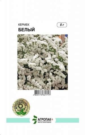 Кермек виїмчастий Білий - 5 грам А Кермек виїмчастий Білий - 5 грам А