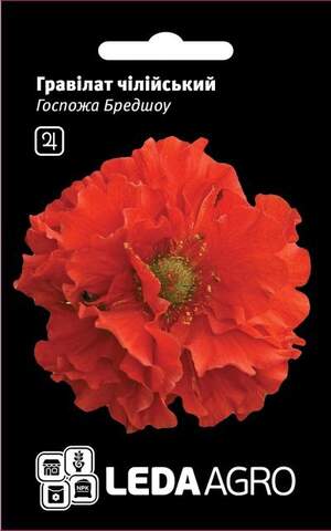 Гравілат чилійський, 