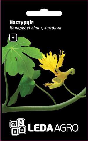 Настурція Настурція