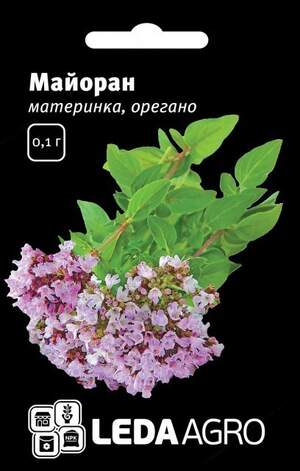 Майоран (Душиця, Материнка, Орегано) 0,1 г . L (Hem Zaden BV Нідерланди) Майоран (Душиця, Материнка, Орегано) 0,1 г . L (Hem Zaden BV Нідерланди)