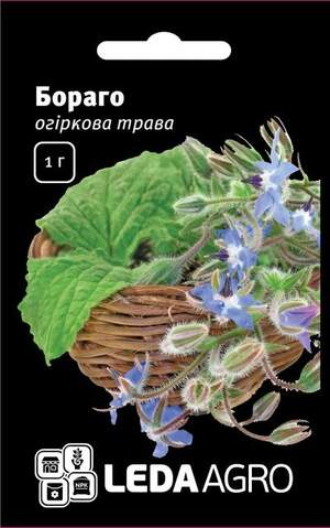 Огіркова трава Огіркова трава