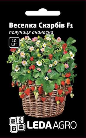 Полуниця ананасна Полуниця ананасна