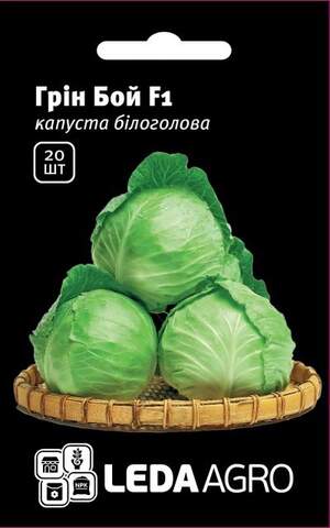 Капуста білокачанна, Капуста білокачанна,