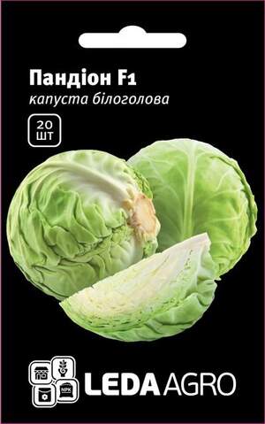 Капуста білокачанна Капуста білокачанна