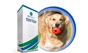 Насіння буряка цукрового 