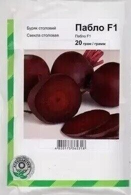 Буряк столовий Буряк столовий