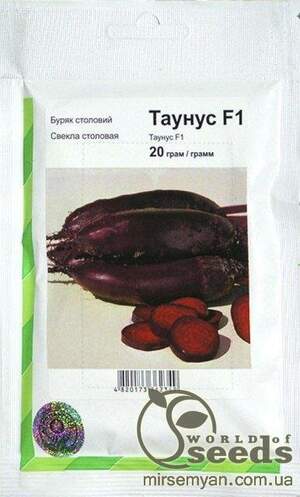 Буряк столовий Буряк столовий
