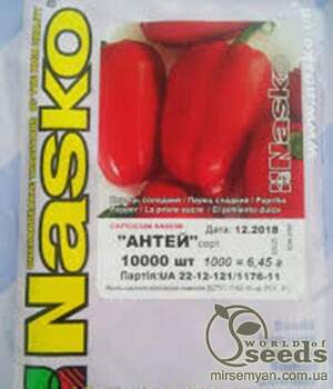 Насіння перцю Насіння перцю