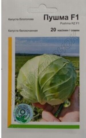 Капуста Капуста