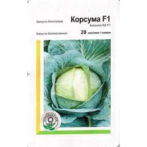 Капуста Капуста