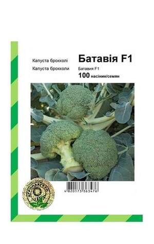 Капуста броколі Батавія F1 - 100 насінин А (Bejo Zaden) Капуста броколі Батавія F1 - 100 насінин А (Bejo Zaden)