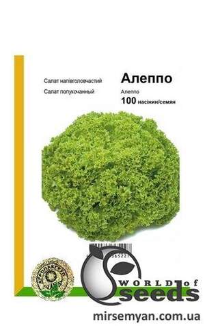 Салат Салат