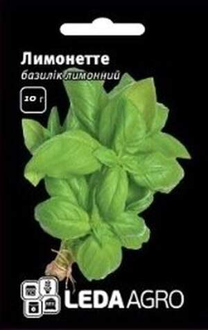 Базилік лимонний Базилік лимонний