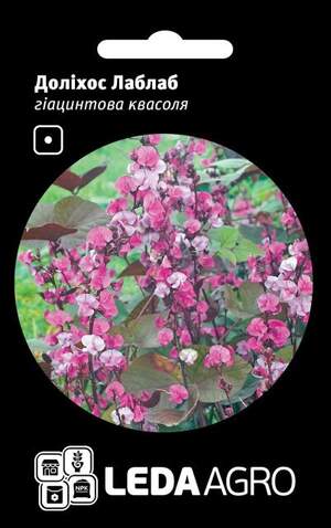 Долихос Лаблаб фіолетовий 1г .L (Hem Zaden BV Netherlands)