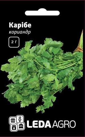 Коріандр Карібе/Caribe 2г. L (Bejo) Коріандр Карібе/Caribe 2г. L (Bejo)