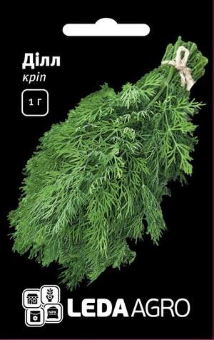 Кріп Ділл 1г. L (Clause) Кріп Ділл 1г. L (Clause)