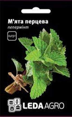 Насіння М'ята перцева Пепермінт 0.03 г. L (Hem Zaden BV Netherlands) Насіння М'ята перцева Пепермінт 0.03 г. L (Hem Zaden BV Netherlands)