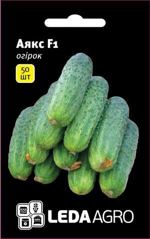 Огірок Огірок