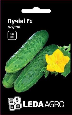 Огірок Огірок