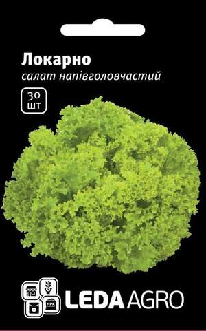 Салат Салат