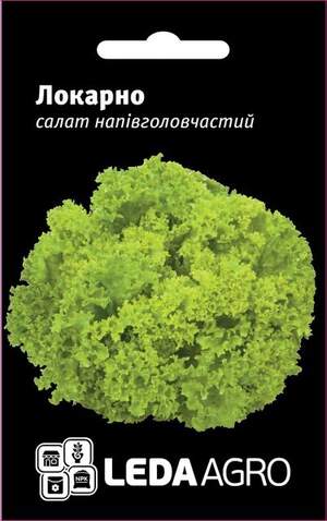 Салат Салат