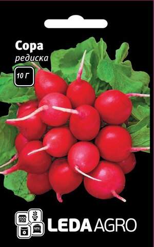 Редис 