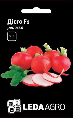 Редис Редис