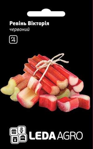 Ревень Ревень