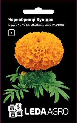 Чорнобривці Купідон золотисто-жовті 0.2 г L (Hem Zaden BV Netherlands) Чорнобривці Купідон золотисто-жовті 0.2 г L (Hem Zaden BV Netherlands)