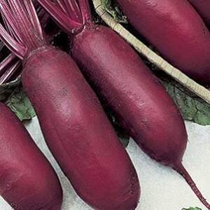 Буряк Атаман 1 кг Satimex Буряк Атаман 1 кг Satimex