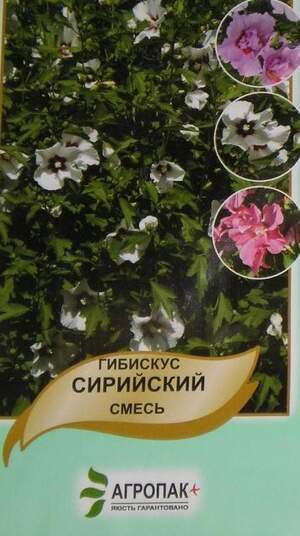 Гібіскус Сирійська суміш 0,4 г А Гібіскус Сирійська суміш 0,4 г А