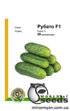 Огірок Огірок