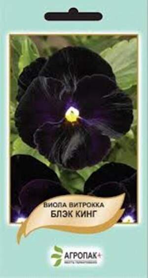 Віола Віола