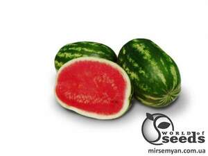 Насіння кавуна 