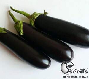 Баклажан Мірінда F1,  1 000 нас. (Lark Seesd USA)