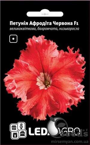 Петунія Афродіта F1 Червона 10 семена Л