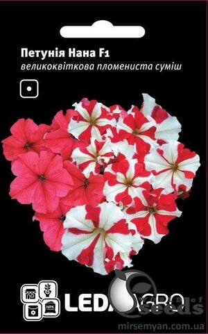 Петунія Нана F1, великоквіткова полум'яна суміш, 10 семена Л