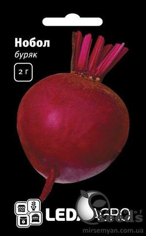 Буряк Нобол (круглий) 2г. Л Буряк Нобол (круглий) 2г. Л
