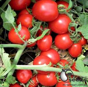 Томат Перфектпіл F1 20 сем., Л