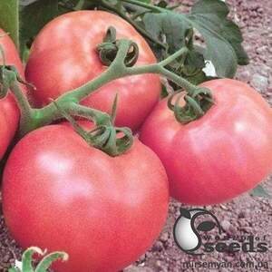 Томат Пінк Унікум F1 5 семена Л