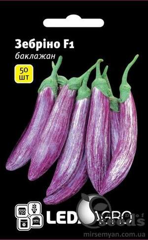 Баклажан 