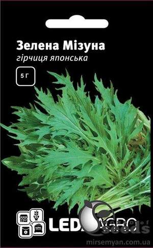 Гірчиця японська Гірчиця японська