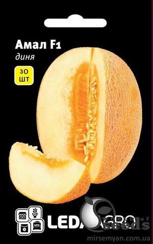 Диня Диня