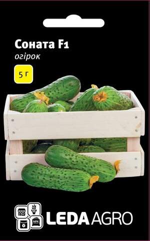 Огірок Соната F1 – 5г. L (Рійк Цваан/Rijk Zwaan) Огірок Соната F1 – 5г. L (Рійк Цваан/Rijk Zwaan)